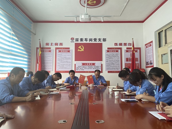 6月19日下午，尿素車間黨支部與法律審計部黨支部開展結(jié)對共建活動2.jpg